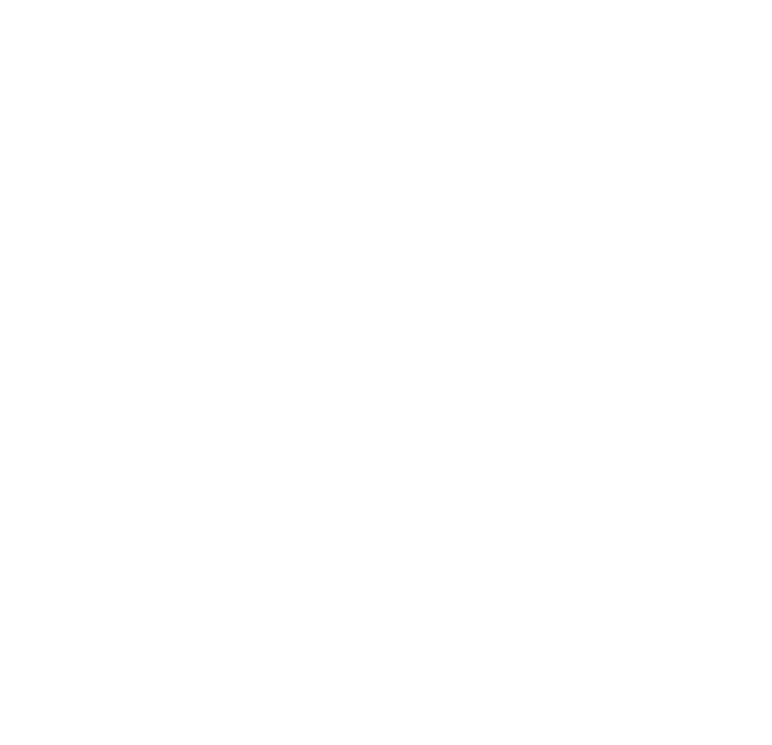 logo default